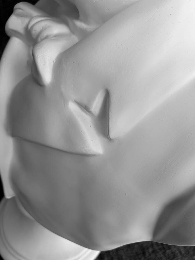 ベートーヴェン 石膏像 胸像