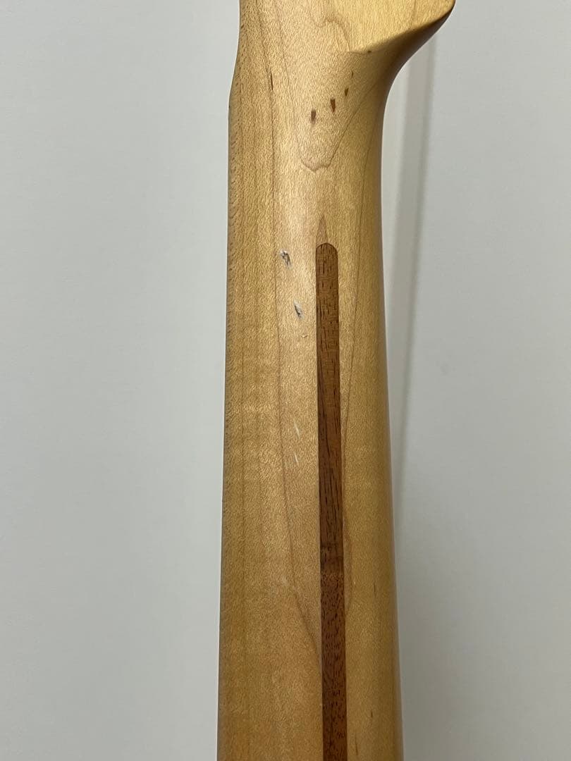 FGN フジゲン テレキャスター 日本製 JTL-5M