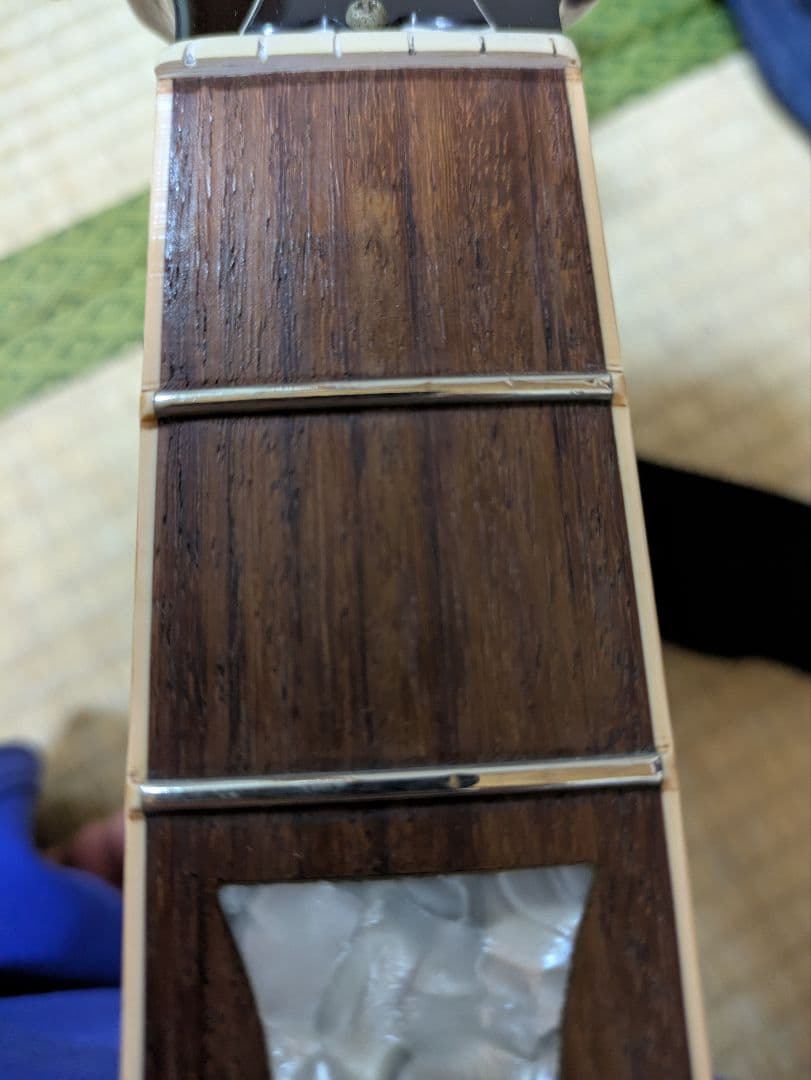 ギター Gibson Limited Edition Les Paul P-90