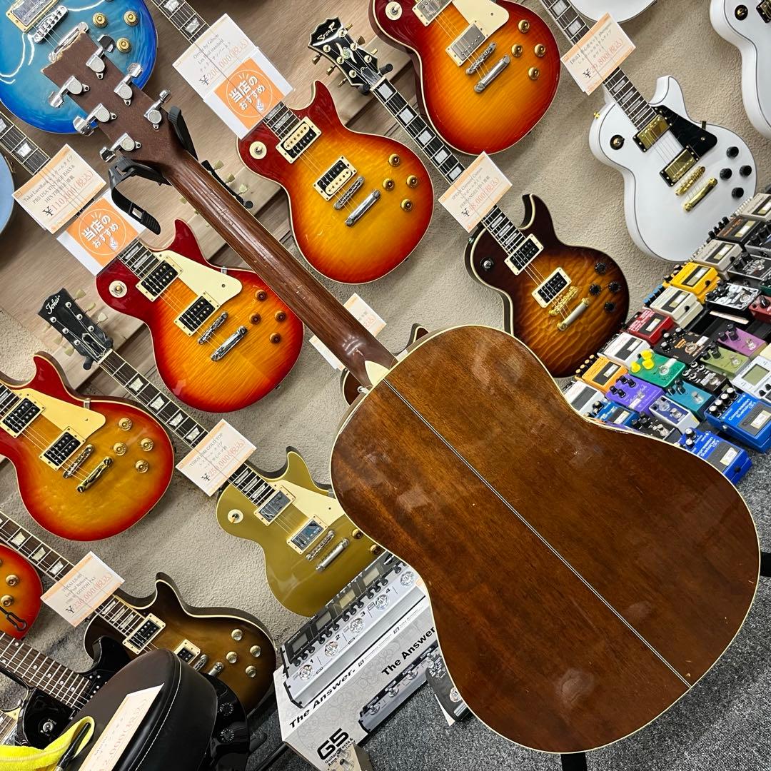 【11562】Morris アコースティックギター