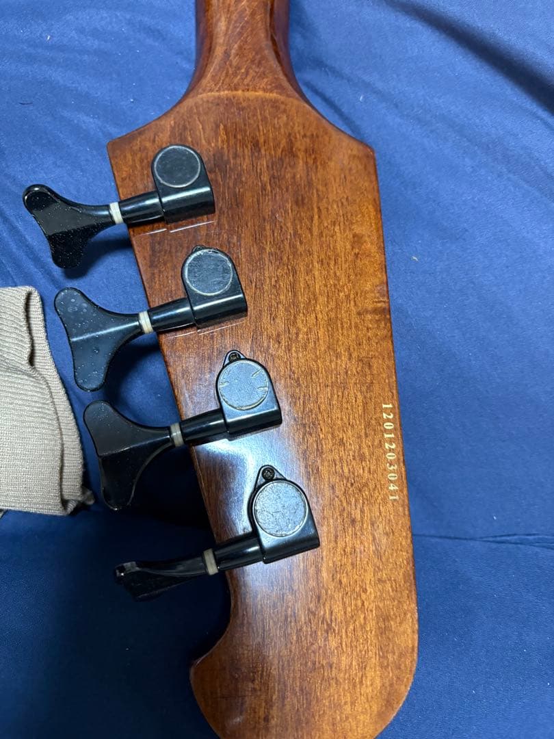 ベース Epiphone Thunderbird