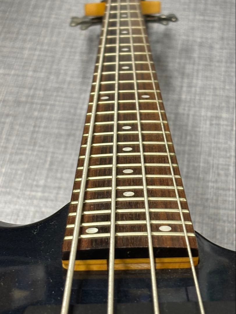 ★schector シェクター RIOT4 DLX エレキベース DIAMOND