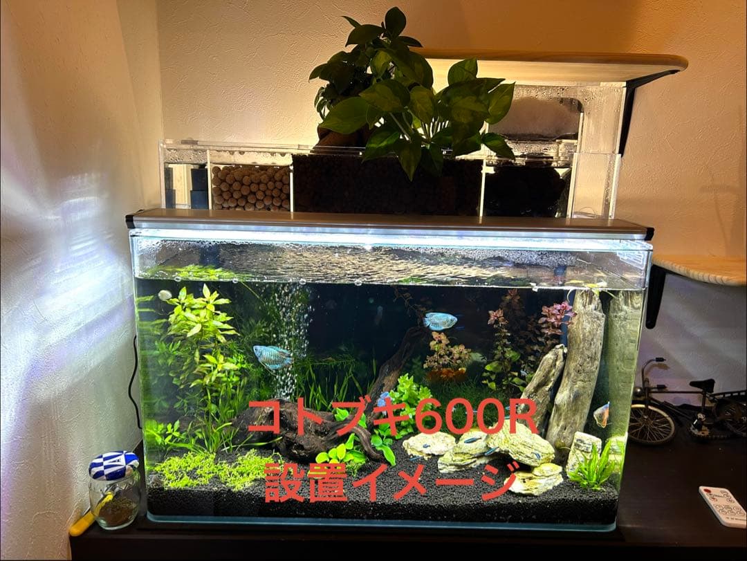 【訳あり】60㎝水槽用　上部濾過式アクアリウム水槽アクアポニックス仕様A