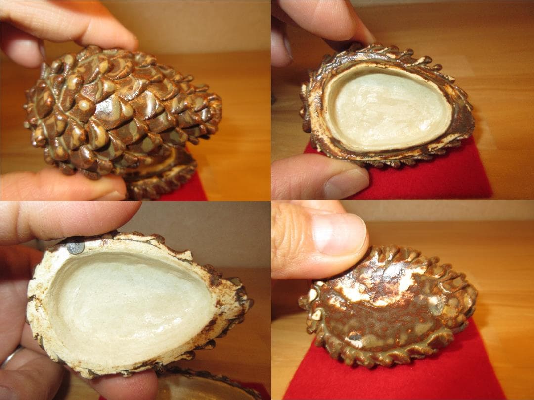 送料込【逢絢亭】茶道具 香合 美濃焼 松毬香合 柴田好寛 共箱入り