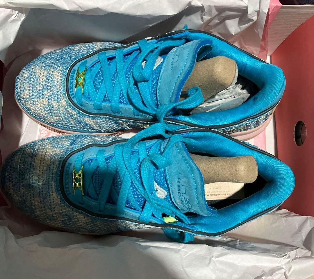 シューズ(男性用) Nike LeBron 20 \"All-Star\" 27.5cm