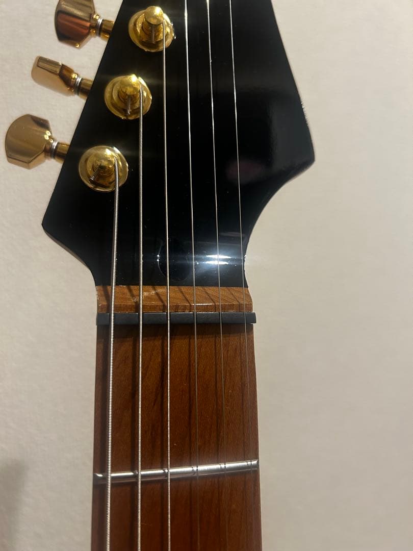 Bacchus BTE-1DX RSM MOD テレキャスター suhr