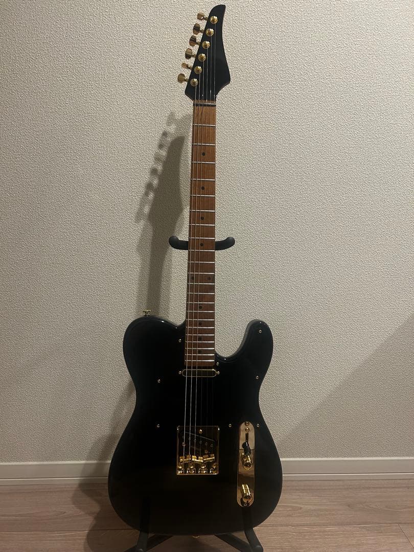 Bacchus BTE-1DX RSM MOD テレキャスター suhr