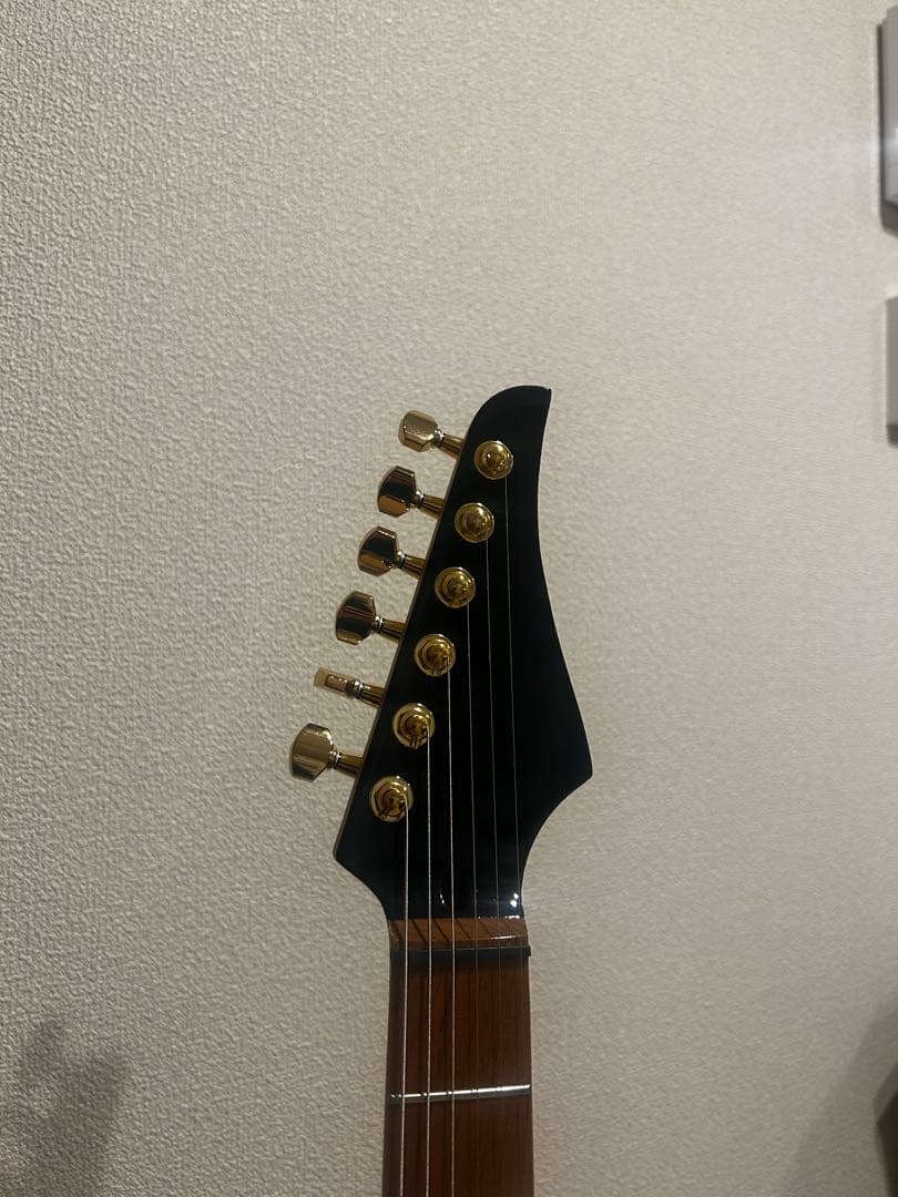 Bacchus BTE-1DX RSM MOD テレキャスター suhr