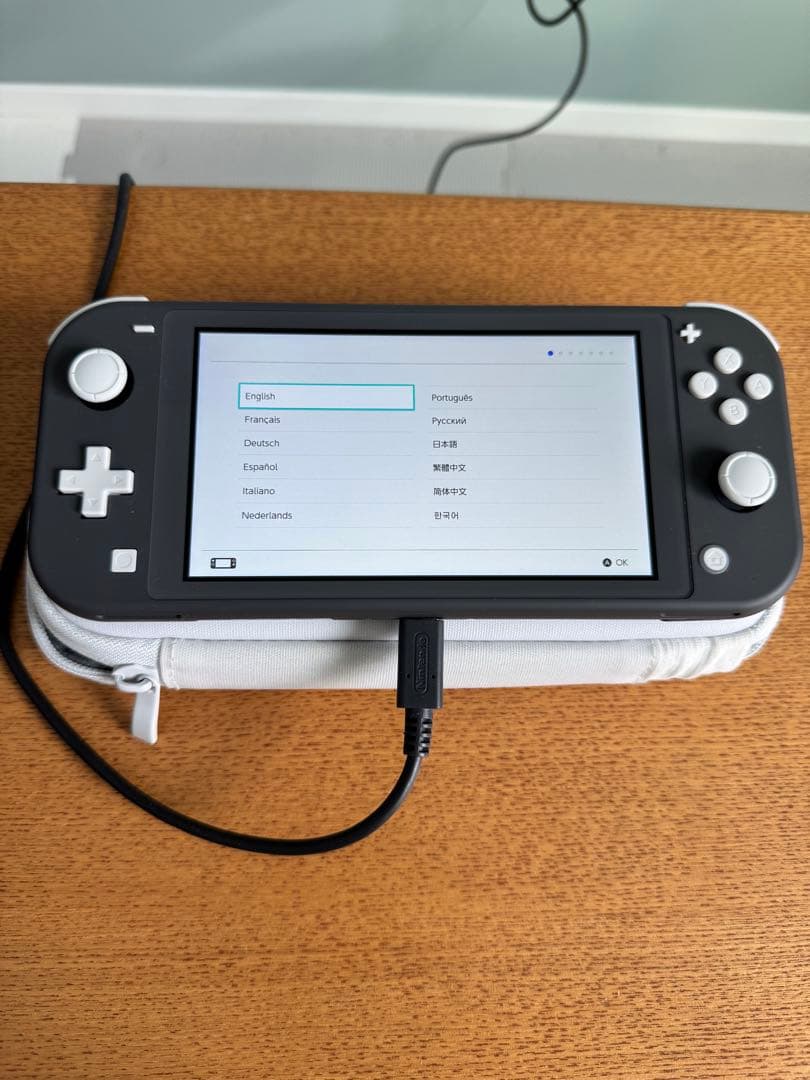 Nintendo Switch Lite グレー 本体 充電器 ケース付き