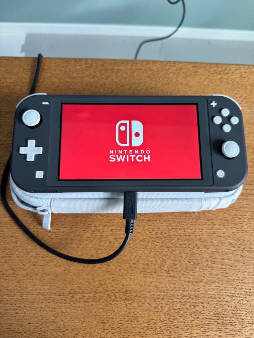 Nintendo Switch Lite グレー 本体 充電器 ケース付き