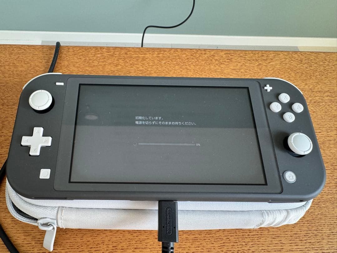 Nintendo Switch Lite グレー 本体 充電器 ケース付き
