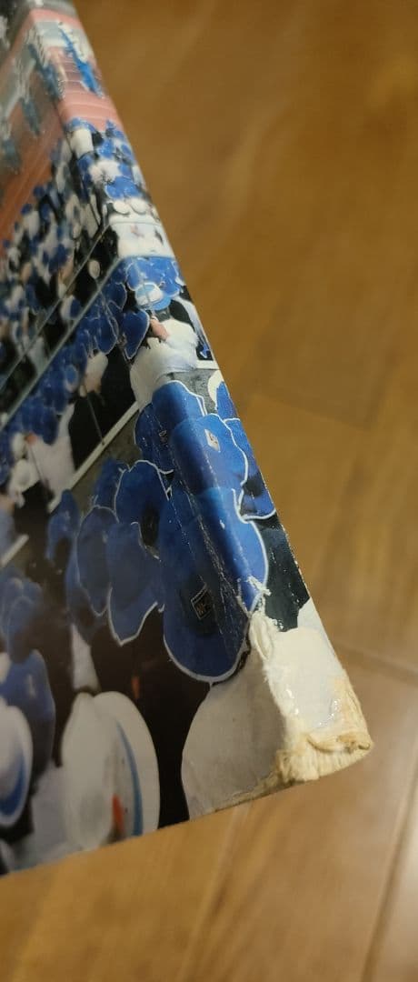 びわこ国体開会式総合写真集