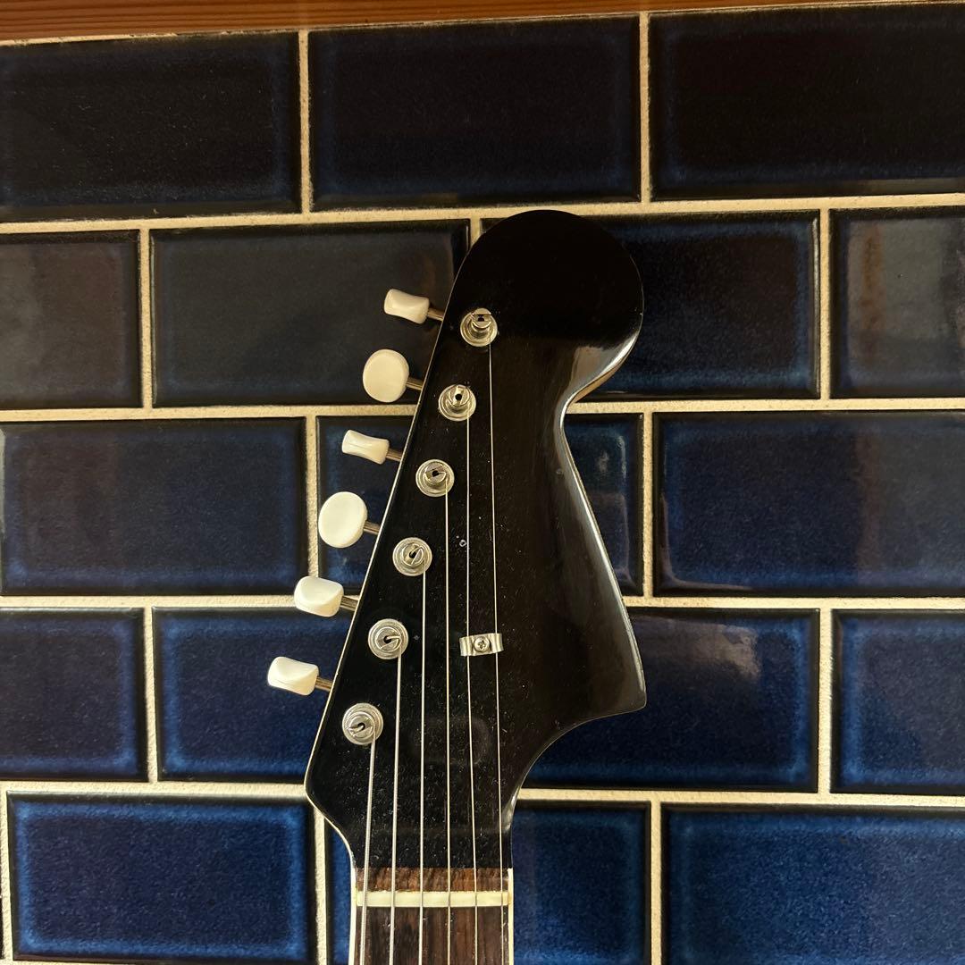 セミホロウジャガー