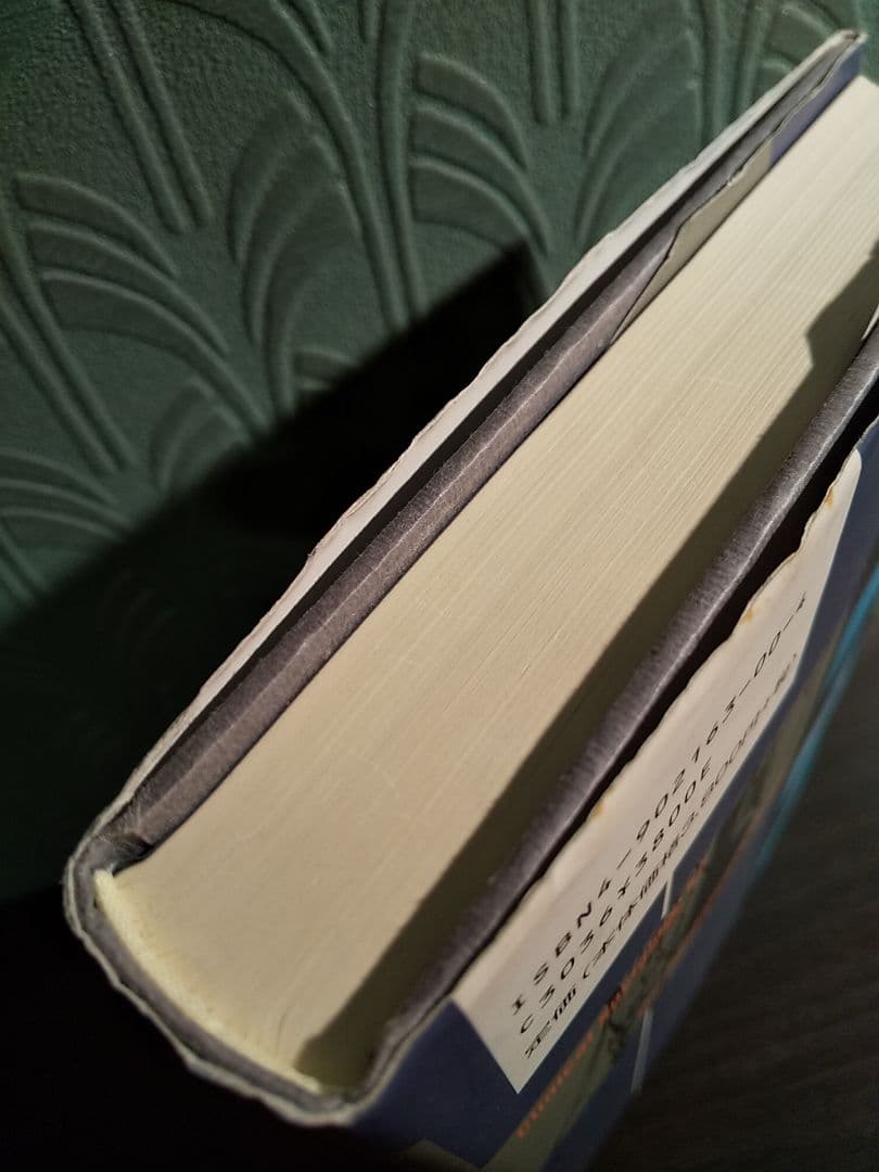 愛知大学文学会叢書８「心理学化する社会」の臨床社会学 ／樫村愛子 著