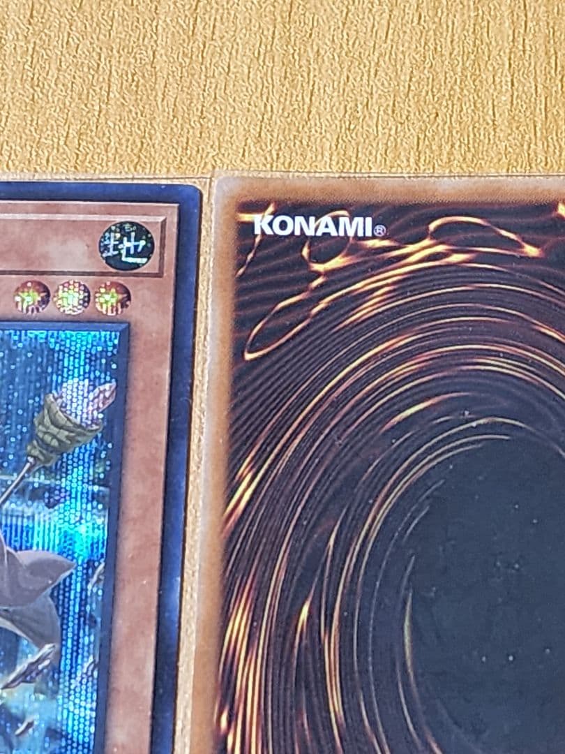 遊戯王 大輪の霊使いプリシク