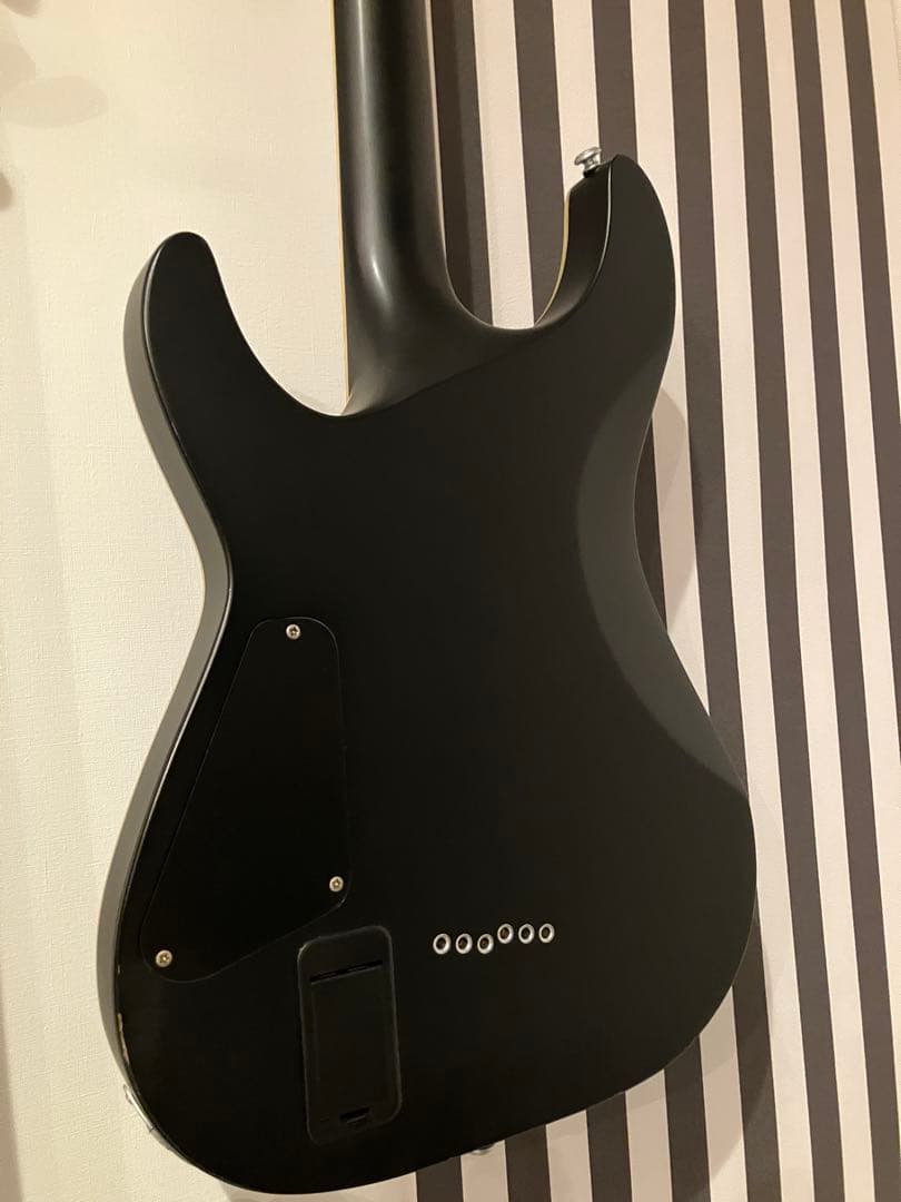 シェクター SCHECTER Damien Platinum-6