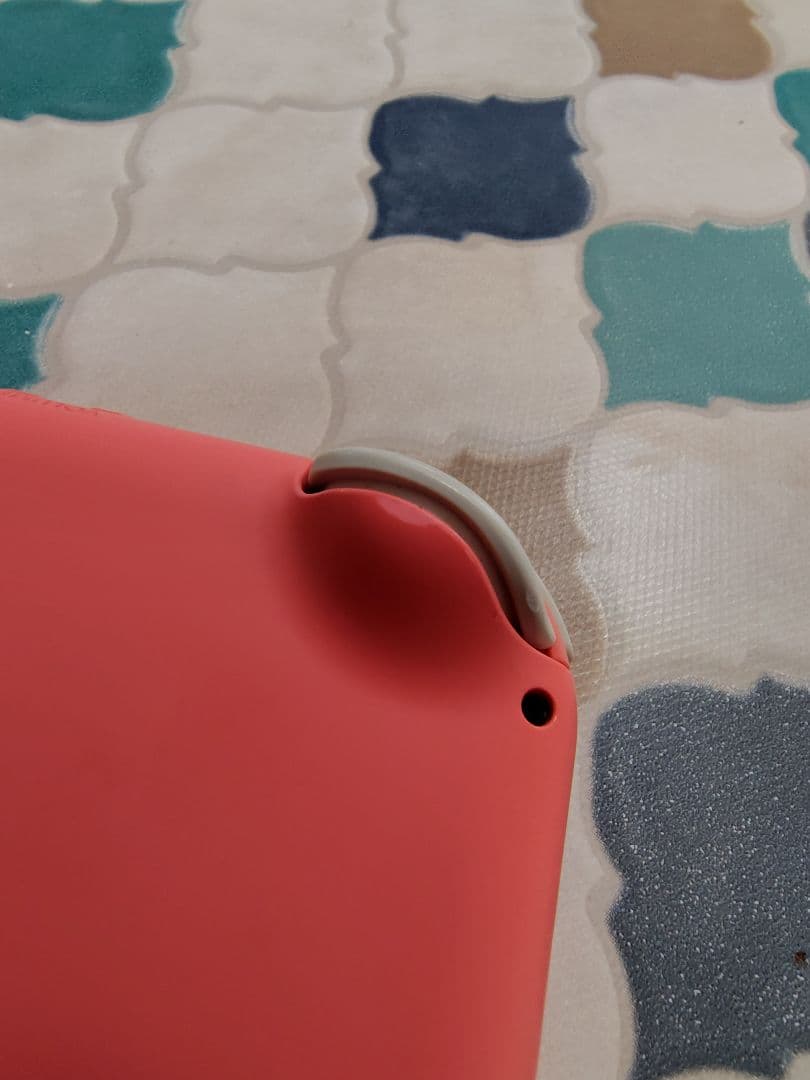 【動作確認済】Nintendo Switch Lite コーラルピンク 本体のみ