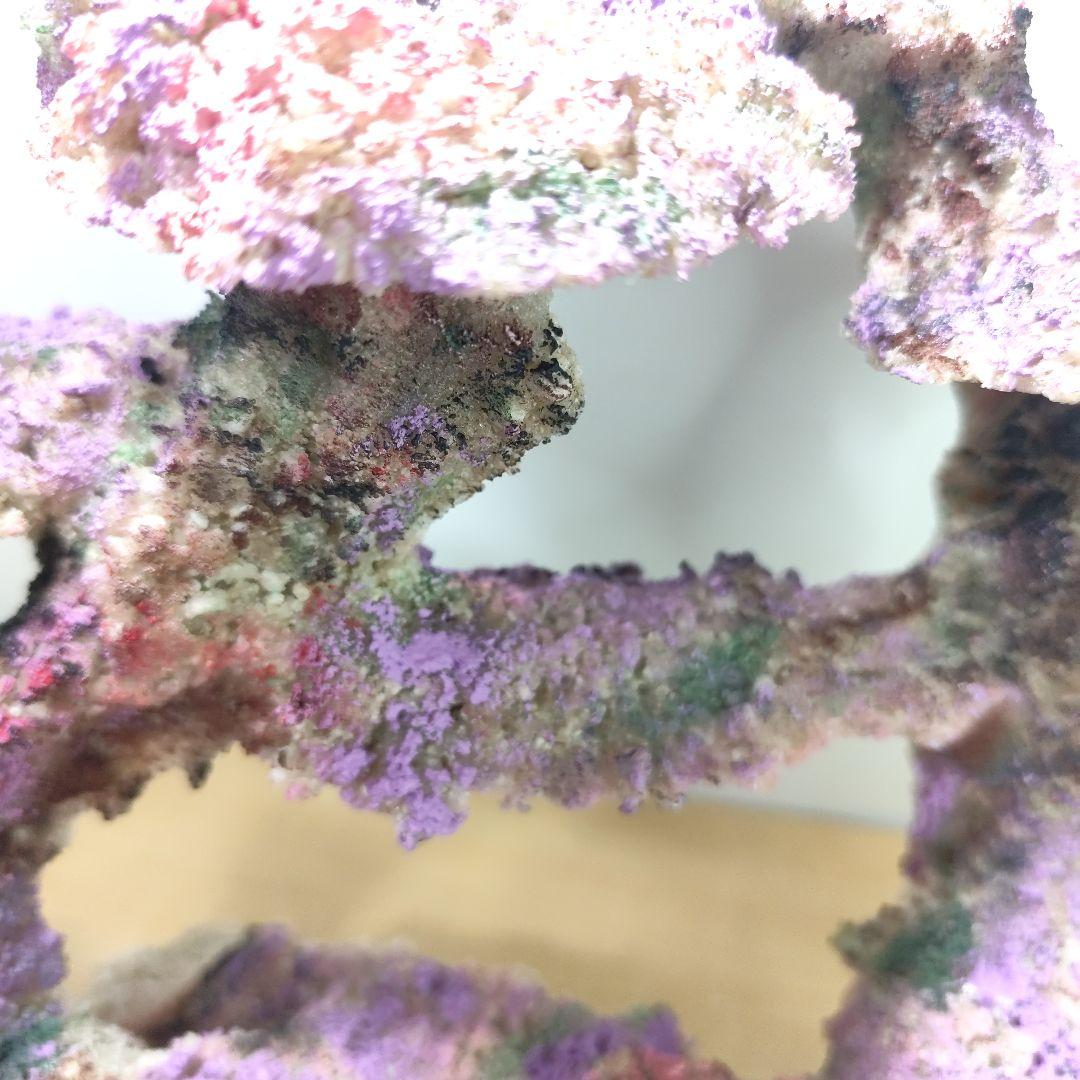 ❖新品アク抜き不要 人工ライブロック 60cm海水水槽用 レプリカ 多孔質安い2