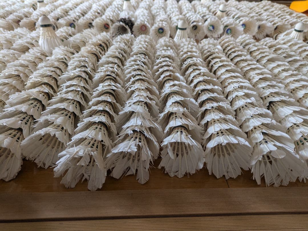 バドミントンの羽根845個！シャトル中古　野球の練習などに