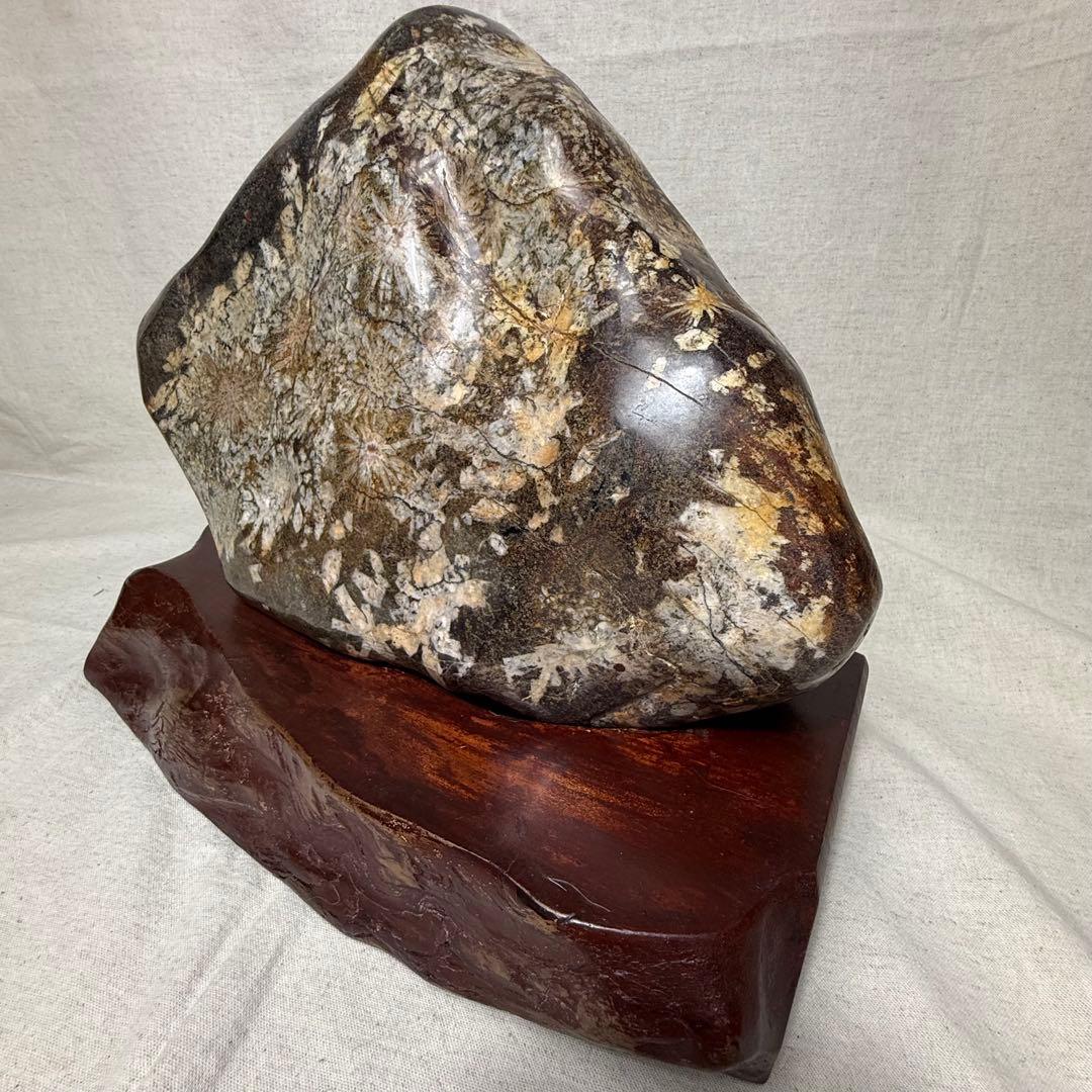 菊花石　岐阜根尾産　台座付き　重さ約10キロ