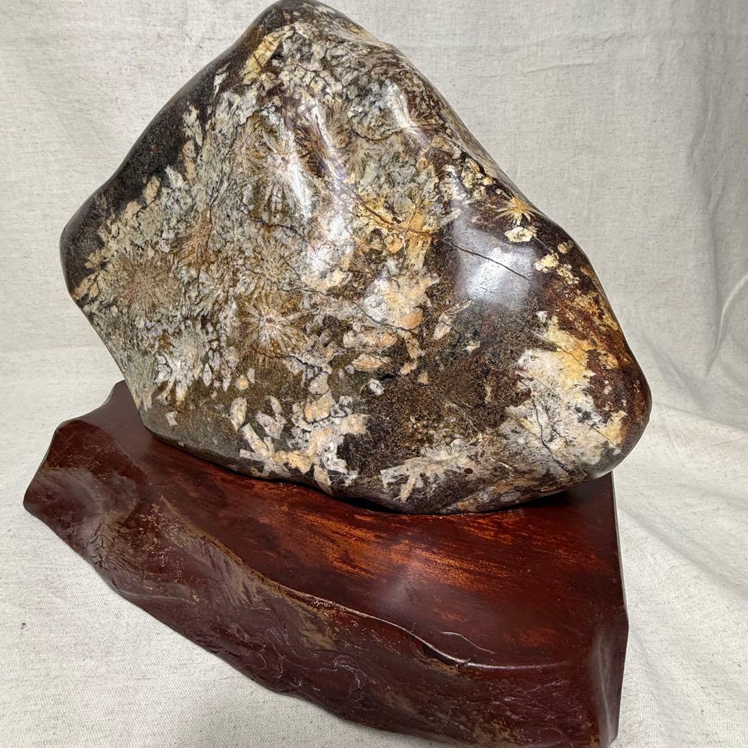 菊花石　岐阜根尾産　台座付き　重さ約10キロ