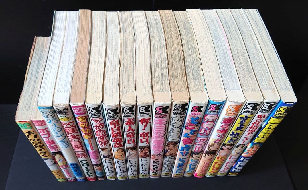 にったじゅん12冊＋他5冊 まとめセット