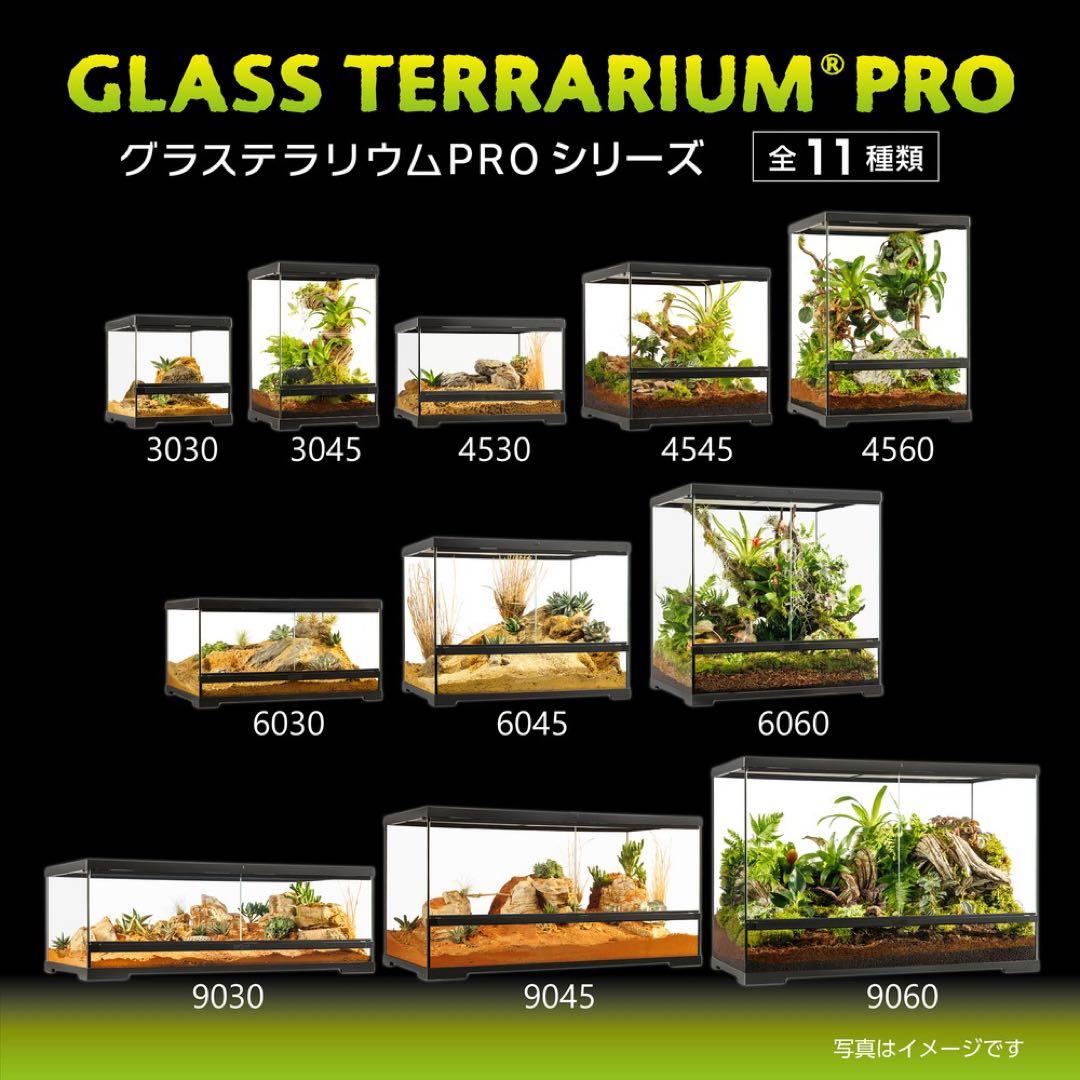 【新品】GEXグラステラリウム PRO 3030