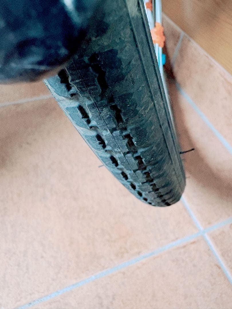 子供用自転車　エコパル　ブリヂストン　20型　自転車　キッズ　こども　自転車