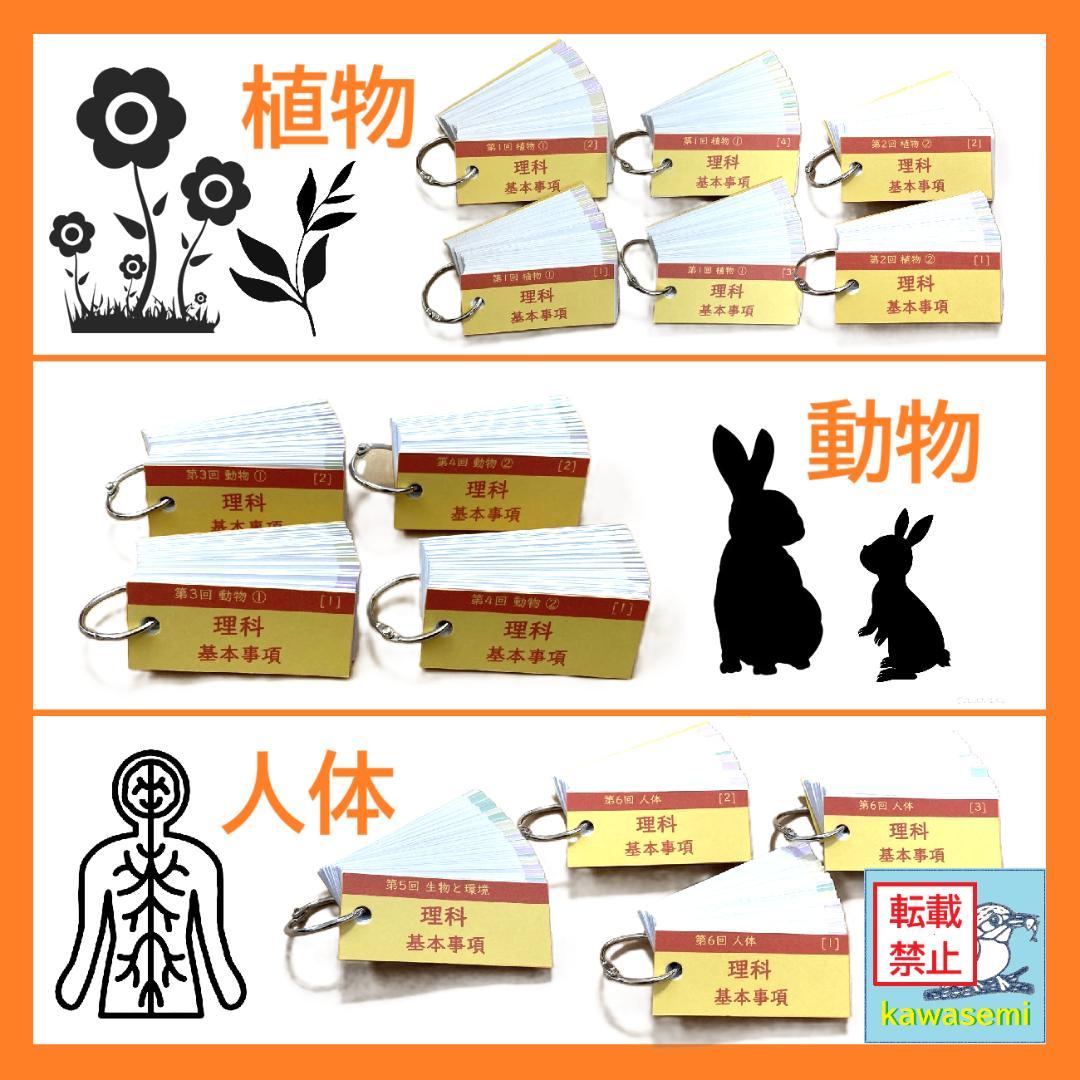 カット済 【中学受験】理科の基本事項 知識編 理科 暗記カード フルセットb