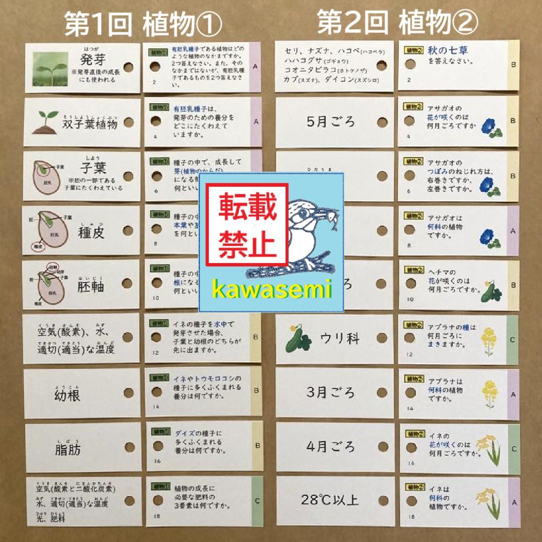 カット済 【中学受験】理科の基本事項 知識編 理科 暗記カード フルセットb