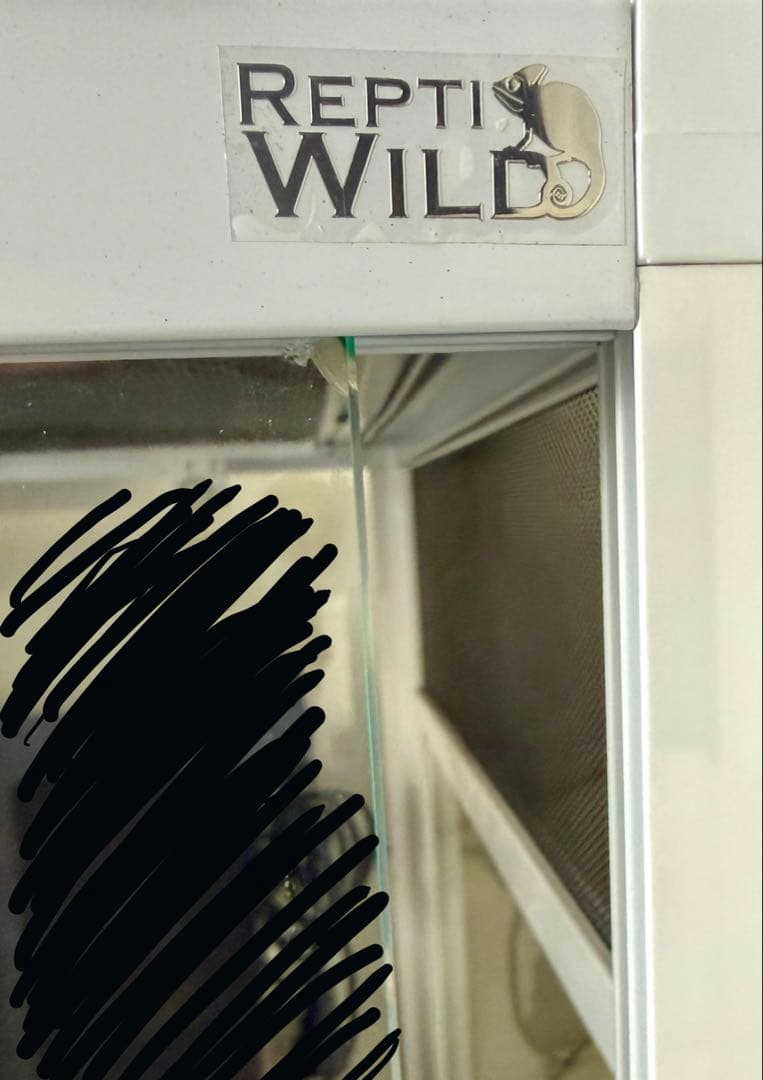 お値下げ中！！飼育ケース2個入りフトアゴヒゲトカゲ飼育14点セット