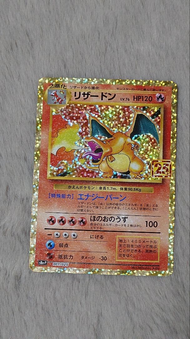 ぬ*ま様 リザードン ガブリアス　25周年