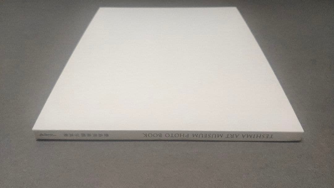 豊島美術館  写真集  内藤礼  西沢立衛