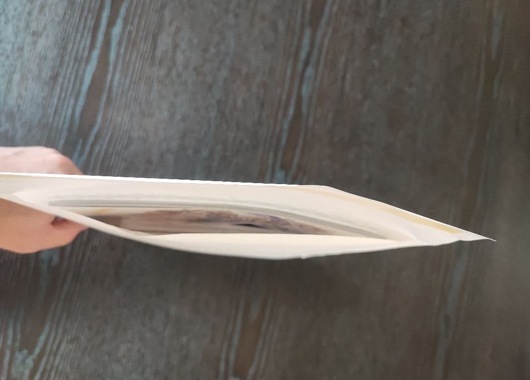 か*の様 新品/未開封/未使用品 グラブルフェス2025 パンフレット アートブ