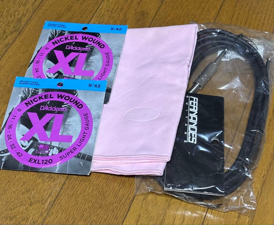 Epiphone Les Paul おまけ付