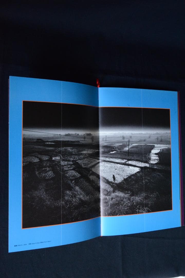 【春本・浮世絵うつし】【鎌鼬】【屏風・掛軸】 細江英公　★★大幅に値下げしました