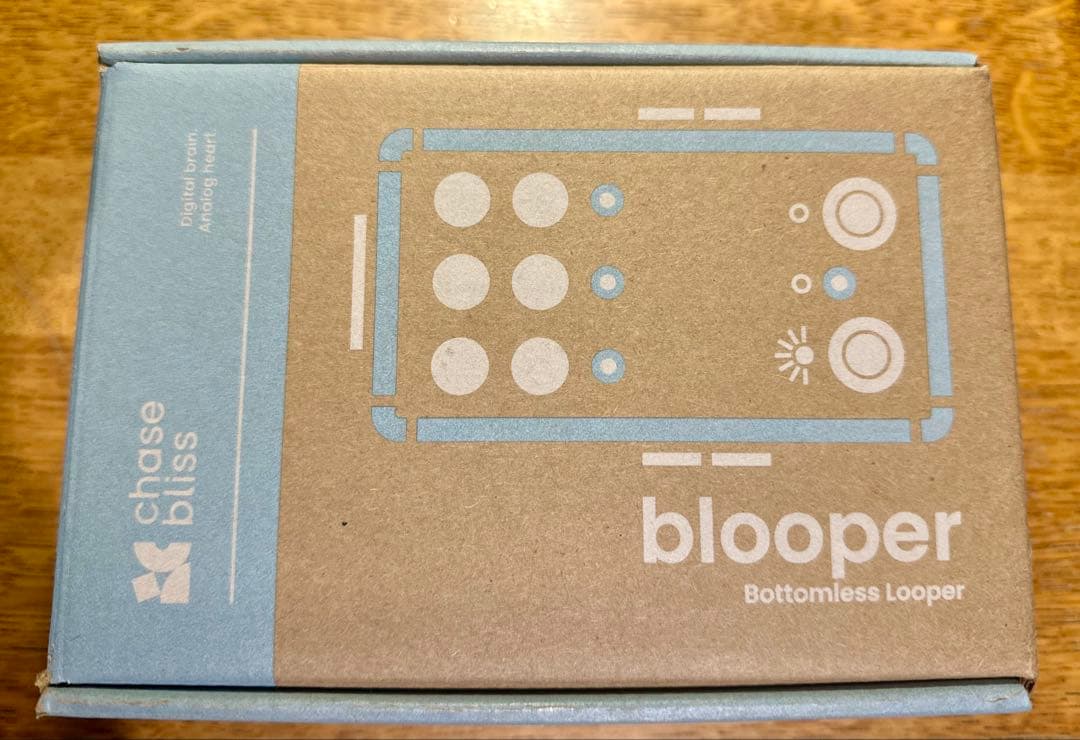 ギター Chase Bliss blooper