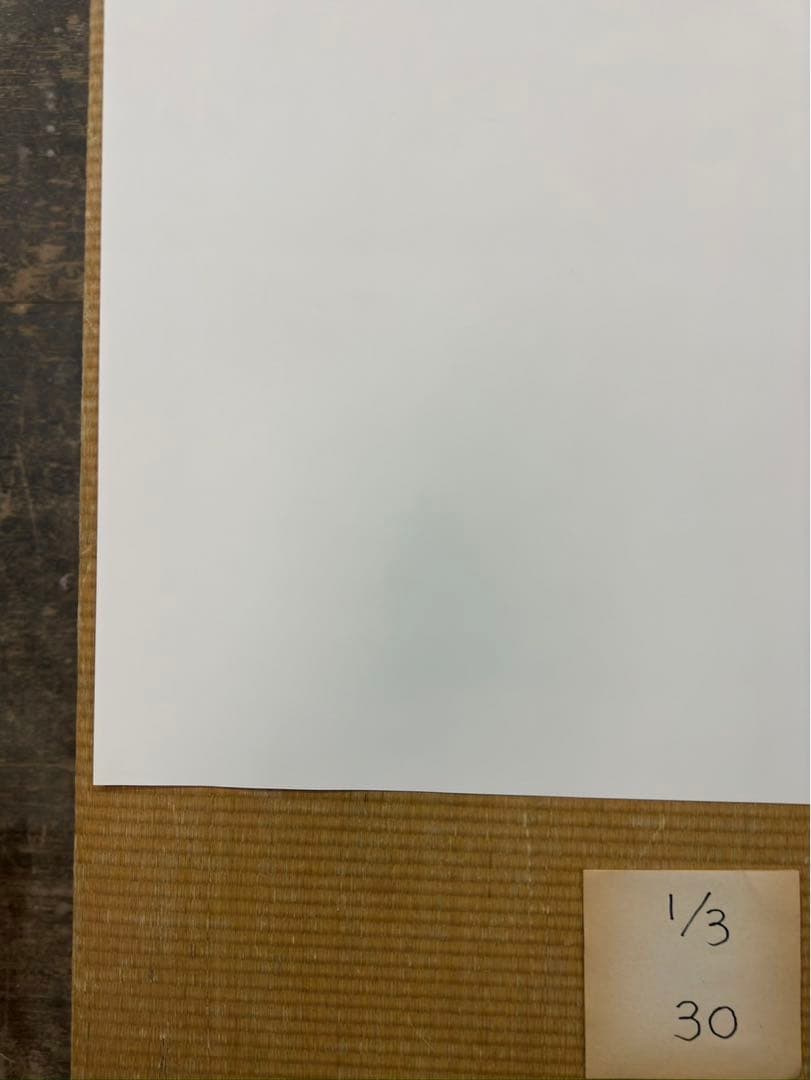 マ*コ様 【30】となりのトトロ　激レア　ポスター