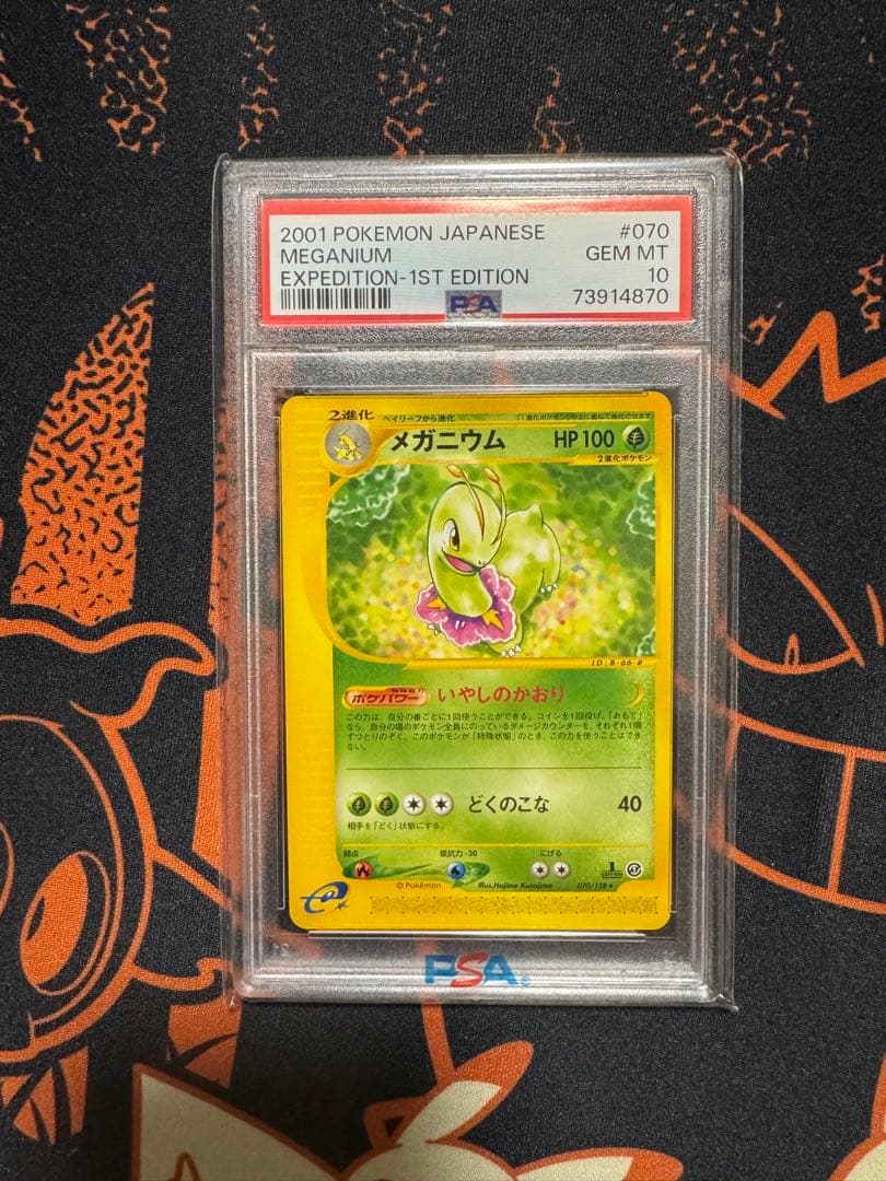 メガニウム　カードe PSA10 キラ　ノーマル　セット　連番