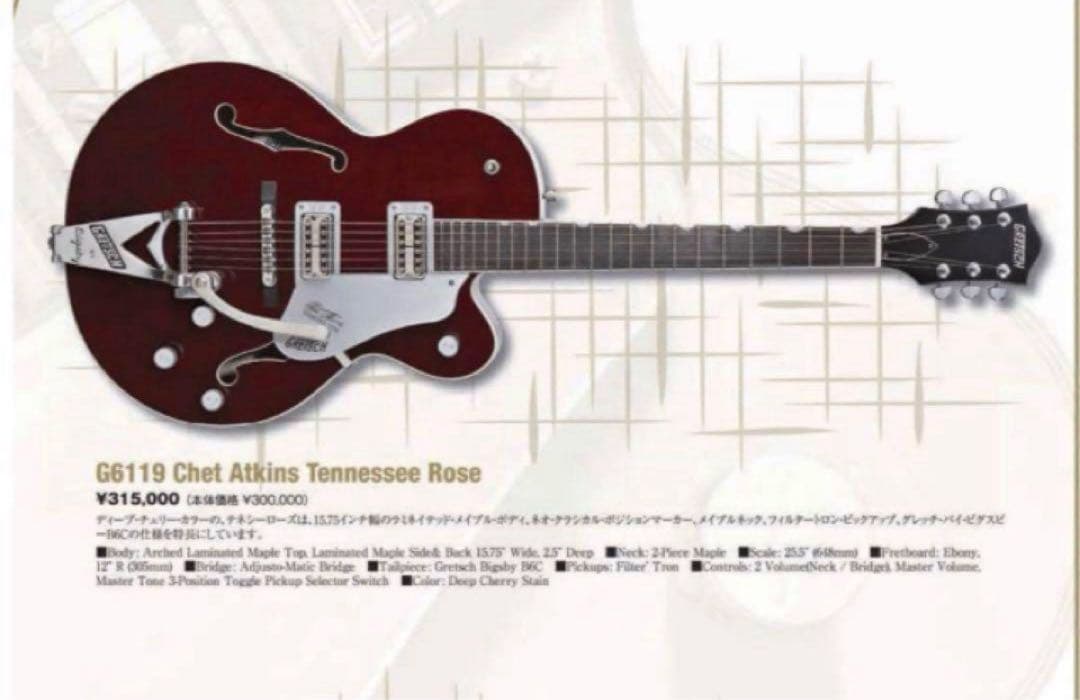 ギター Gretsch G6119 Chet Atkins Tennessee Rose