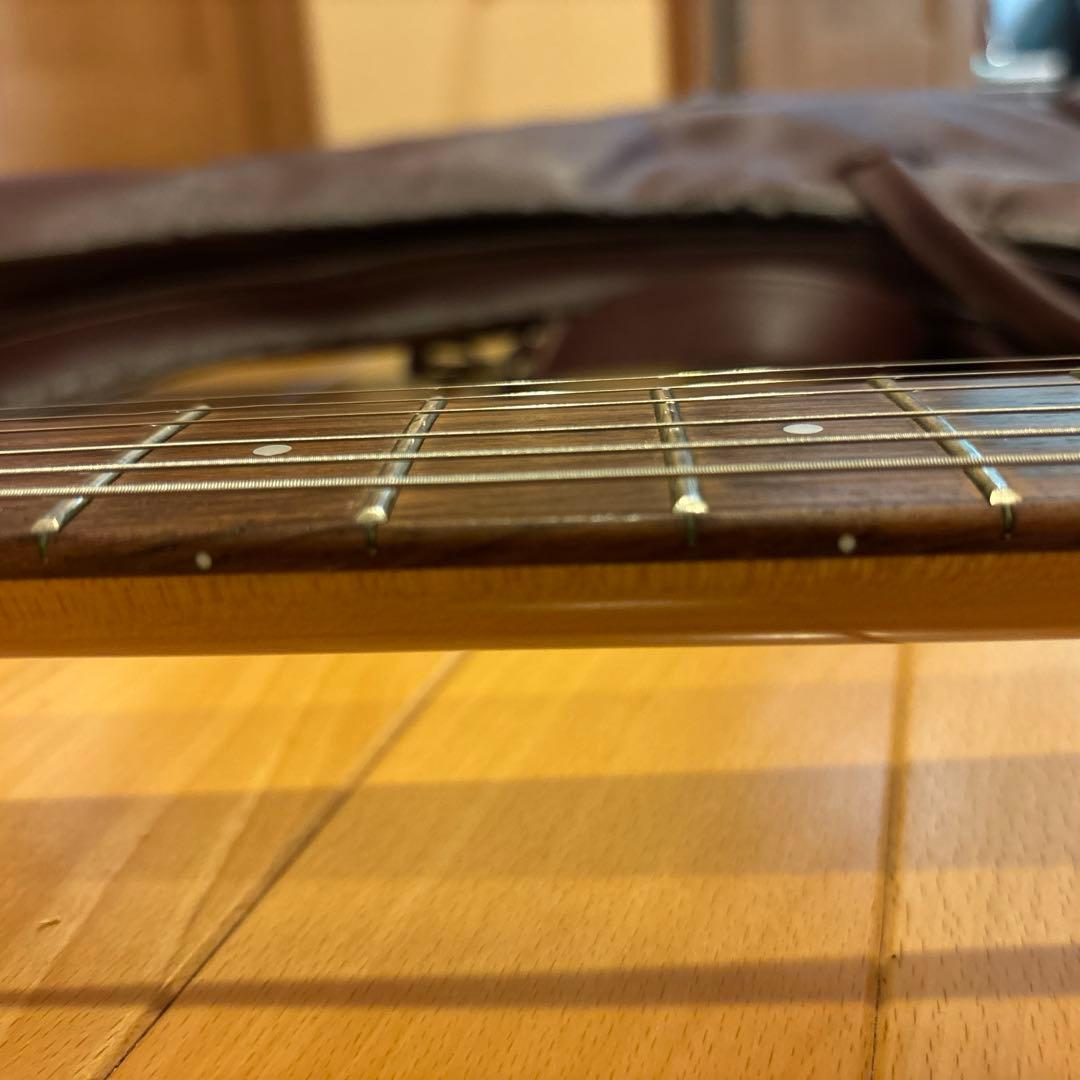 FERNANDES FGZ400 ゴールドパーツ仕様 トレモロアーム ケース付