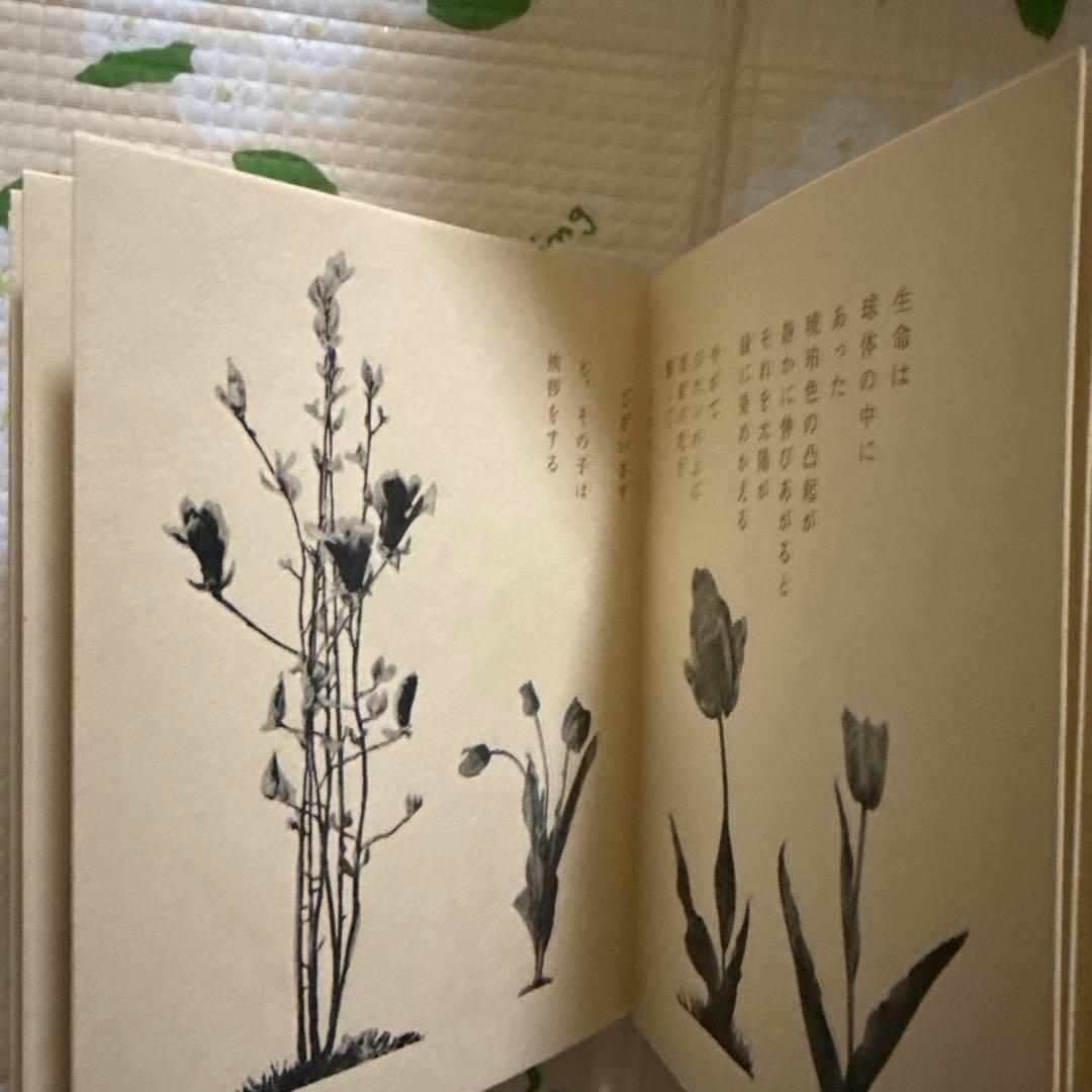 武井武雄　 刊本作品 NO 38 SPHERE　（スフェール）サイン有