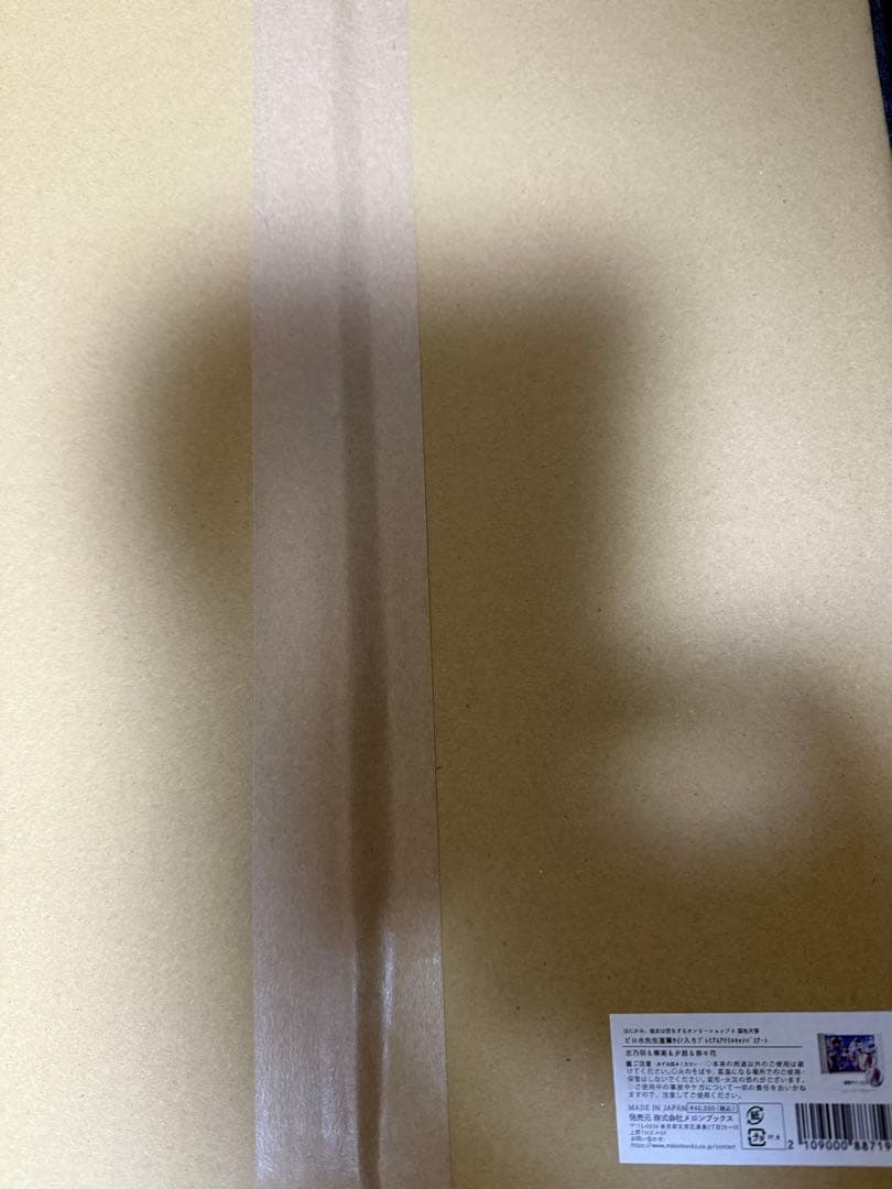 プレミアムアクリルキャンバスアート 志乃羽&華実&夕那&奈々花　直筆サイン入り