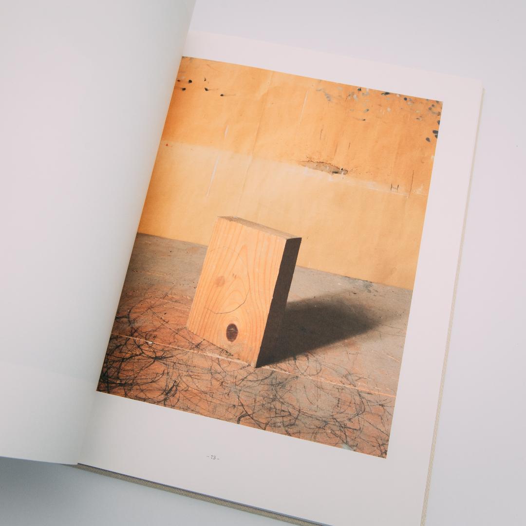 アート・デザイン・音楽 Joel Meyerowitz: Morandi's Objects