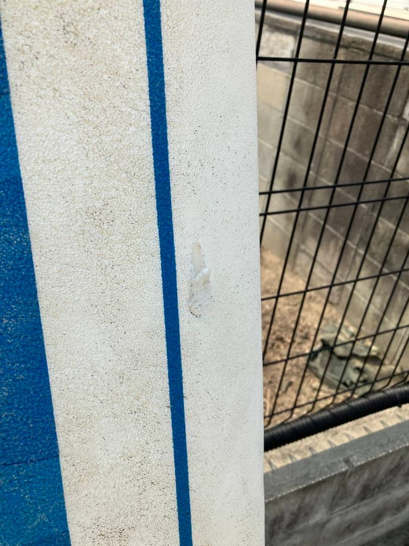 Ｙさま専用　引取希望　コストコサーフボード ソフトボード Jerry Lopez