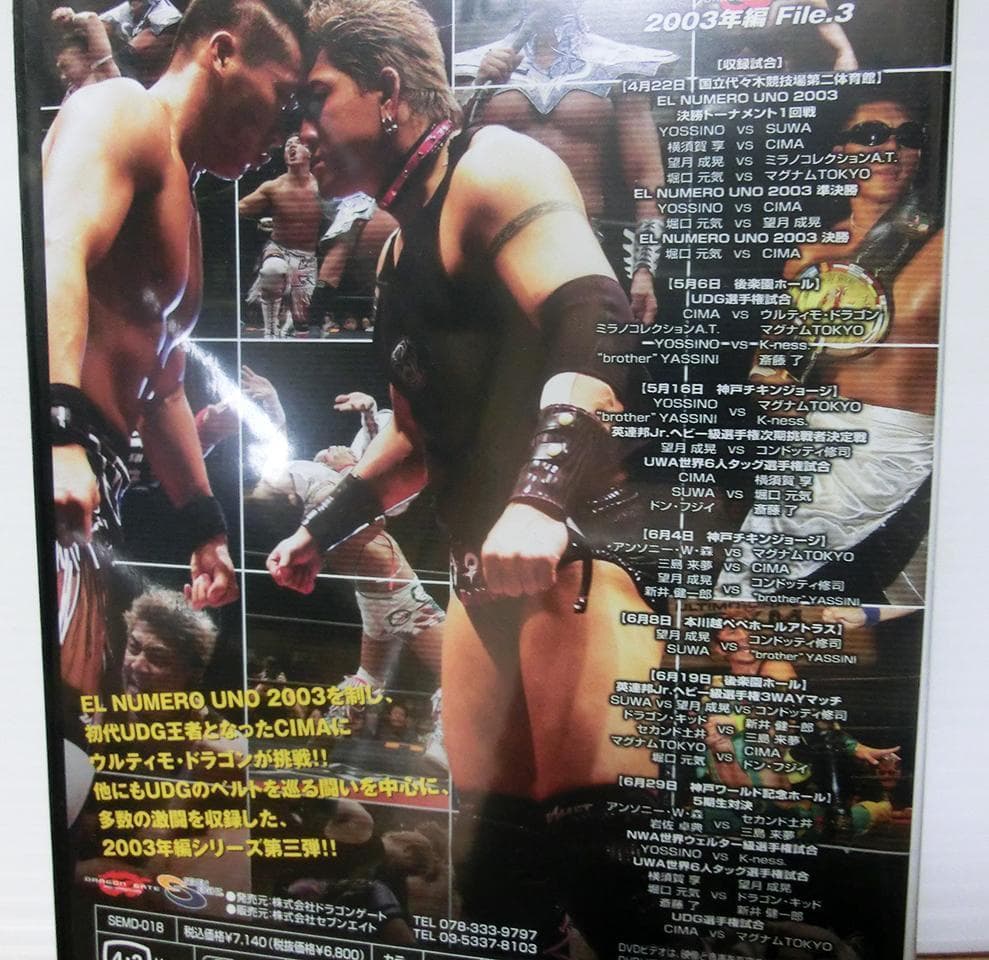 ★廃盤 絶版 DVD闘龍門伝説 2003年編 File.3 File.4ドラゲー