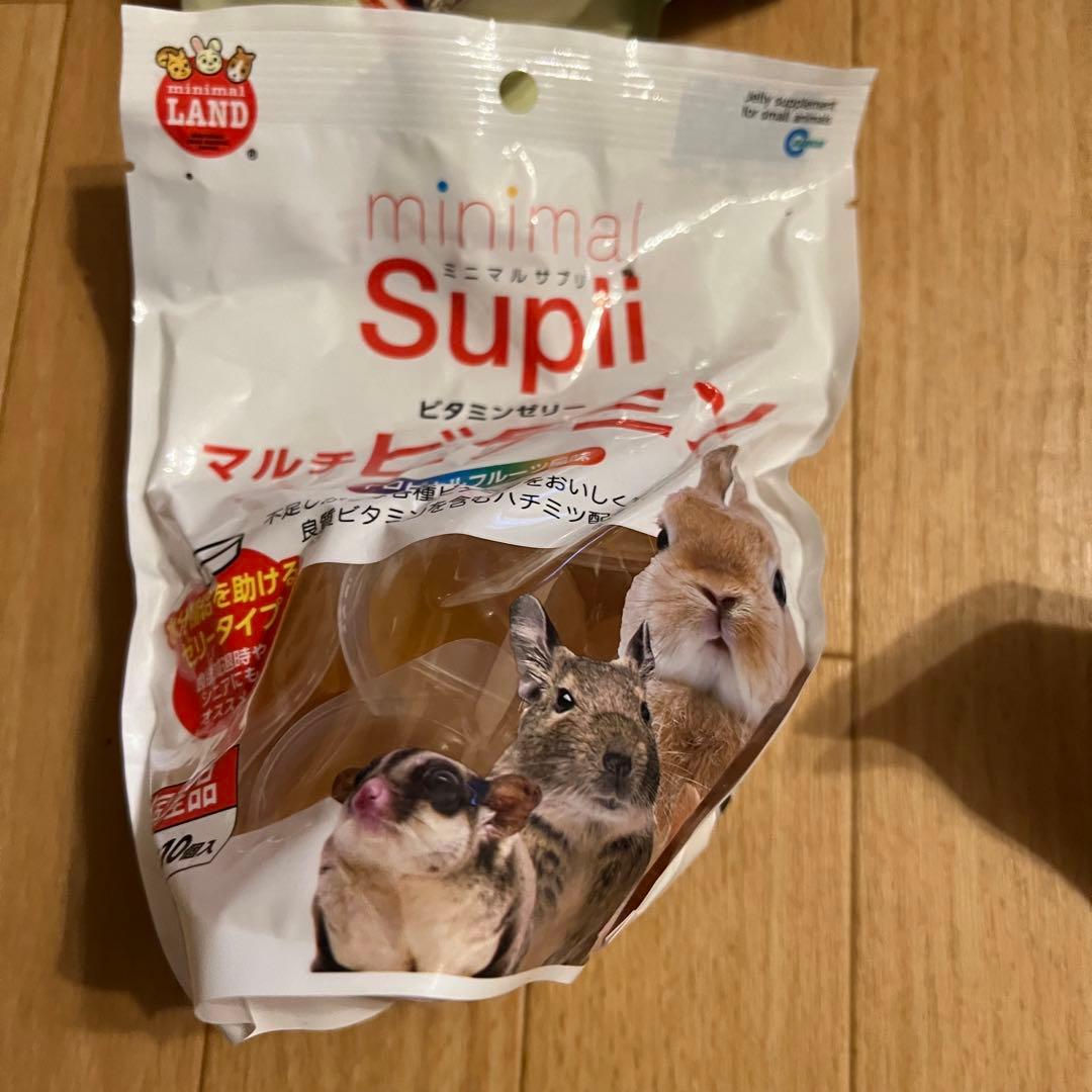 デグー　DRGU 飼育セット　餌　サンド　シートなど