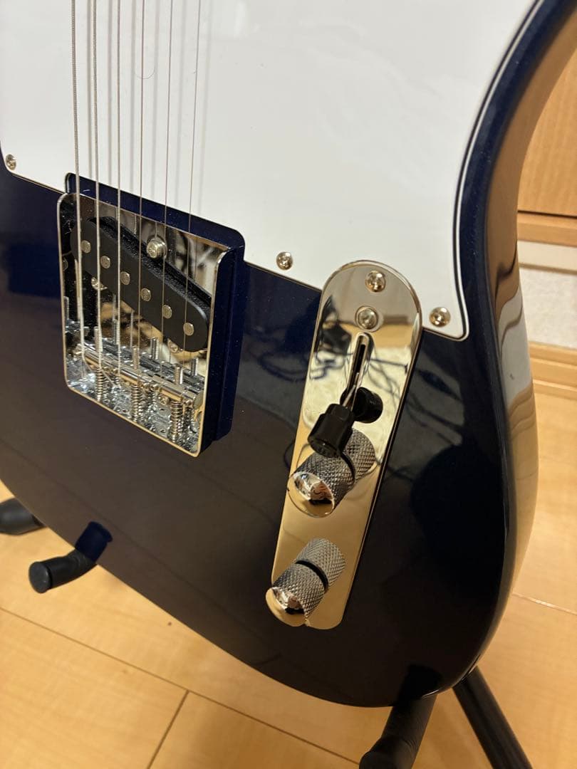 hka97866 bacchus ギター テレキャスター ソフトケース付き