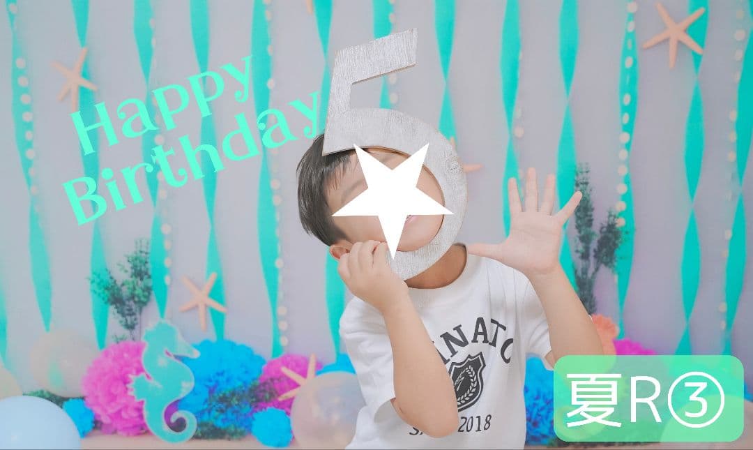 背景布【　ティファニーブルー　】ペット撮影用　キラキラ、ストーン、宝石、リボン