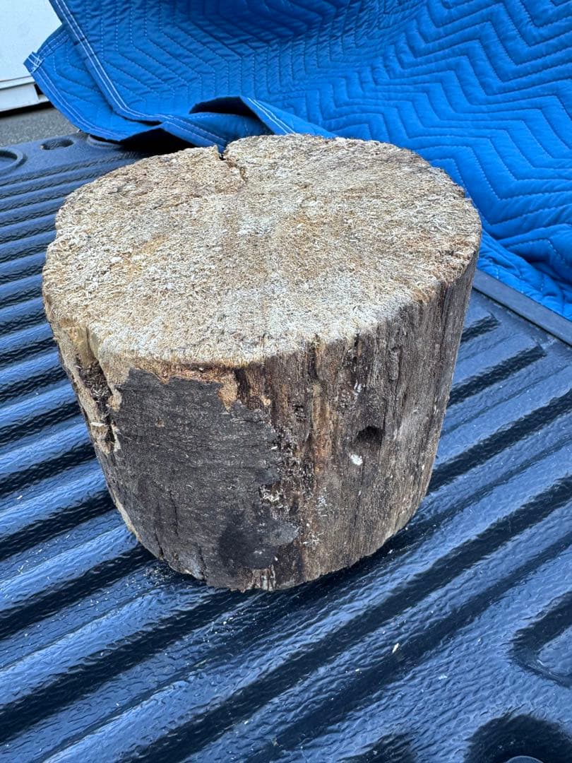 ベトナム材　VN材　13cm×18cm 産卵材